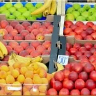 a variety of fruits and vegetables