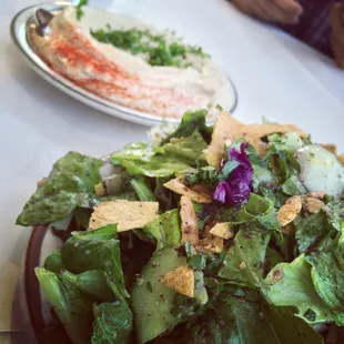 The Fattoush