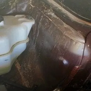 Packrat urine stains