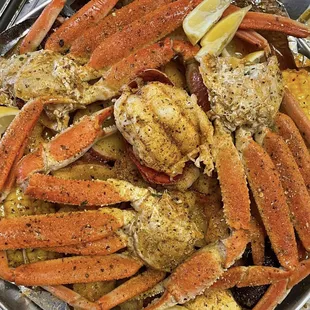 Lobster and Snow Crab