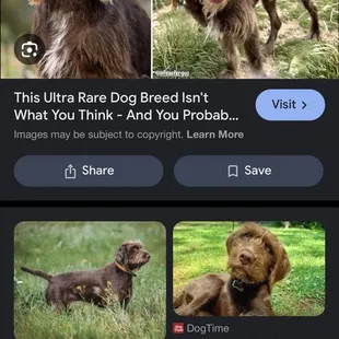 Amazing man. That guy