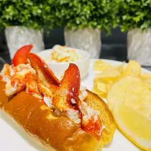 food, oysters and mussels