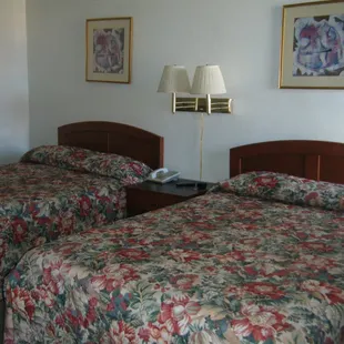 Standard Double Bed - Brand New Bed Frames/Headboards/Bedding