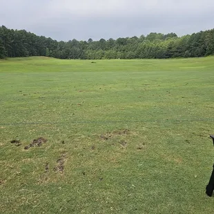 Driving range (grass tees!)