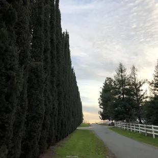 Royal Oak Farm
