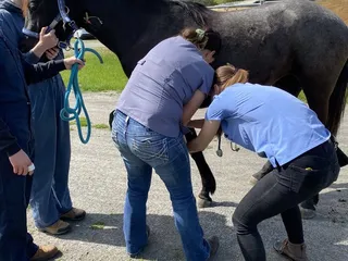A Partner For Life Horsemanship