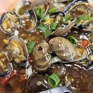 Clams in black bean sauce