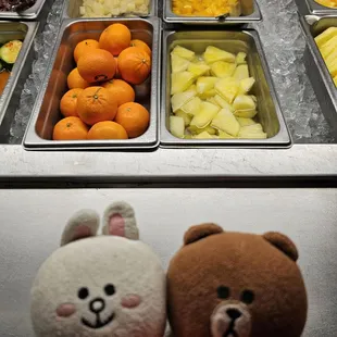 Fresh fruits and canned fruits