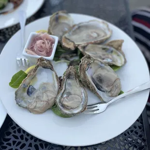 Royal Palm Village Wine & Tapas