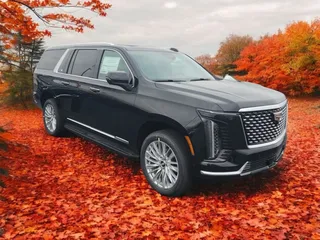 Classic Limo Tours