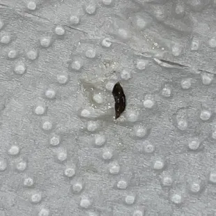Mouse poop from lemon curd.