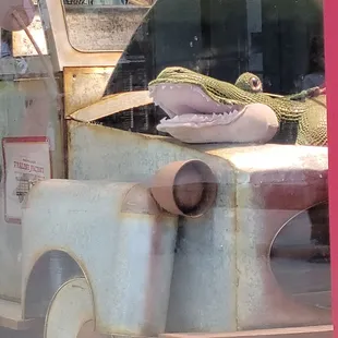 a crocodile in the bed of a truck