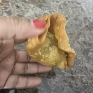 C&apos;mon Royal Punjab, you know better than to wrap a samosa like this. Disappointing.