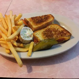 Griil cheese with friends fries