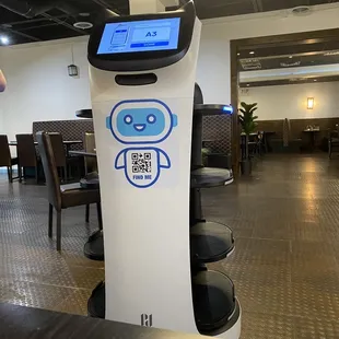 Robot waiter