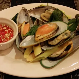 Mussels