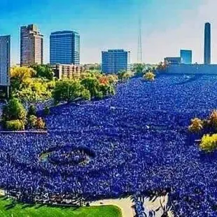 Royals Champions sea of blue at the Royals Parade