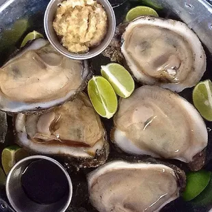 Fresh giants oysters!