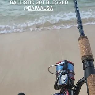 My 1st daiwa reel got at Roys was on sale too.