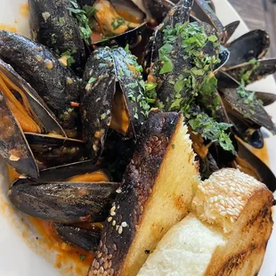 Steamed Mussels