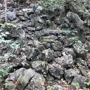 Rozarks Nature Trail