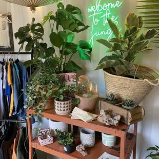 Inside shop