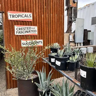 So many plants