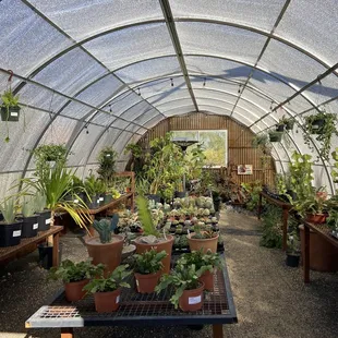 Inside Shade House
