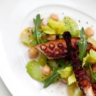 Mediterranean Octopus