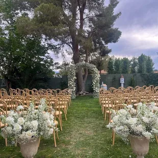 Natural Bentwood Chairs