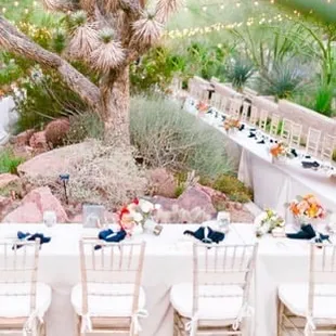 RSVP Party Rentals - Wedding at Springs Preserve