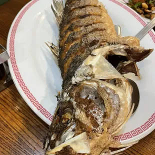 Whole Fish rockfish