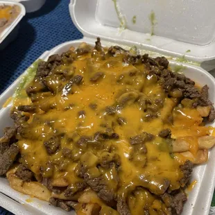 Carne Asada Fries