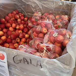 Fresh apples