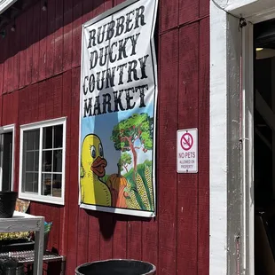 Rubber Ducky