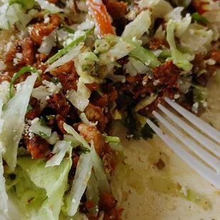 Pollo
