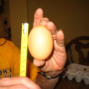 Organic, free-range mega egg!
