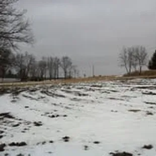 2012 Garden expansion