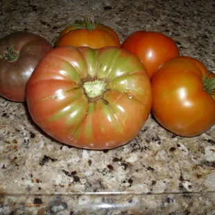 Garden fresh tomatoes delivered