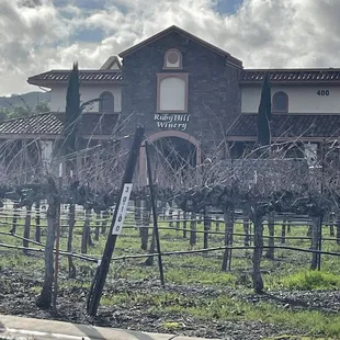 a row of vines in front of a winery