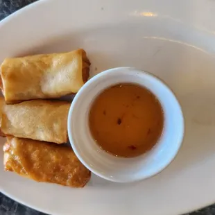 Spring roll appetizer