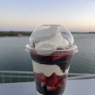 ws a dessert in a plastic cup