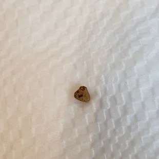 Rock came out from bang bang chicken