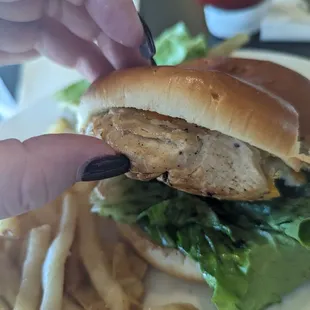 Grilled Chicken Sandwich