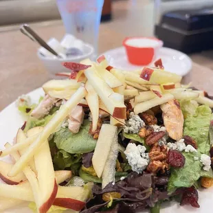 Ruby's Apple, Pecan &amp; Bleu Cheese Salad