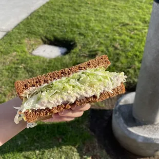 a hand holding a sandwich