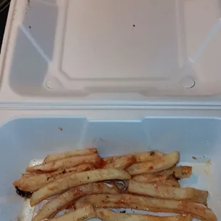 The portion of oversalred fries i was given