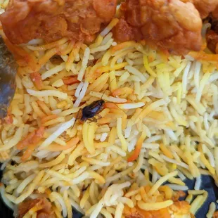 Cockroach in Takeout order of Veg 65 Biryani