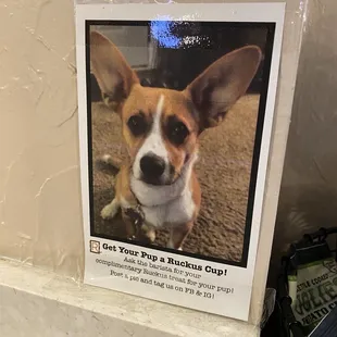 Bring your pup friends!