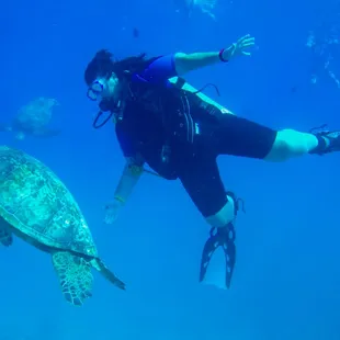 Swimming with the Honu!